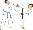 fight and kick
