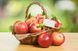 Jonagold Apples in a Basket Jonagold Apples in a Basket