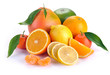 set of citrus fruit with leaves set of citrus fruit with leaves