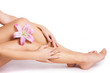 Beautiful female body