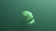 Green Cells Evolution
