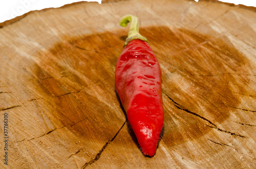 Photo: peperoncino forte peperoncino forte