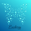 Butterfly  water drops