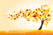 Autumn tree Autumn tree