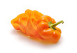 Orange pepper cut by rings Orange pepper cut by rings