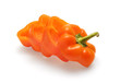 Orange pepper cut by rings Orange pepper cut by rings