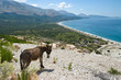 Ionian Coast Of Albania Ionian Coast Of Albania