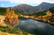 Mountain tarn with a tree
