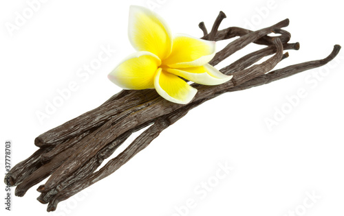 Photo: fleur de frangipanier sur gousses vanille Bourbon fleur de frangipanier sur gousses vanille Bourbon