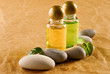 Shampoo bottles with stones and green leaves Shampoo bottles with stones and green leaves