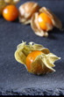 physalis