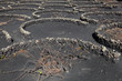 Winegrowing in volcanic soil of Lanzarote, Spain