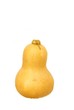 butternut