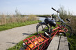 Holland