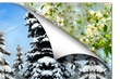Kalender 22