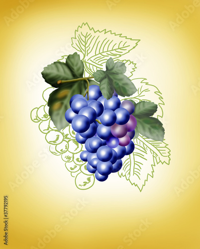 Illustration: bunch of grapes on a yellow background bunch of grapes on a yellow background
