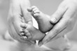 Foto: Mother gentle touch - cute baby feet Mother gentle touch - cute baby feet
