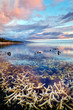 Lagon de l'Ermitage - Ile de La Réunion Lagon de l'Ermitage - Ile de La Réunion