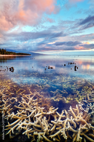 Photo: Lagon de l'Ermitage - Ile de La Réunion Lagon de l'Ermitage - Ile de La Réunion