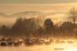 Lever de soleil à Ciboure