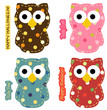 Cute Owl Set
