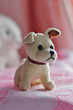 toy,dog