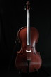 violoncelle - cello
