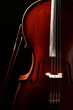 violoncelle - cello