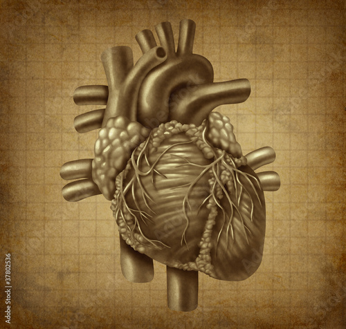 Illustration: Grunge Human heart Grunge Human heart