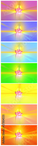 Illustration: Chakra colors of lily flower un der rainbow Chakra colors of lily flower un der rainbow