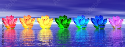 Illustration: Lily flowers chakras by night Lily flowers chakras by night