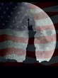 Photo : statue of liberty with flag
