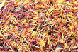 Safflower for background
