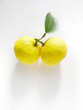柚子 twin fruits_01