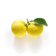 Foto: 柚子 twin fruits_02 柚子 twin fruits_02