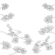 Titmouse on pine branch, contour. Vector