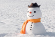 snowman