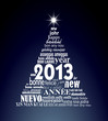 2013, sapin polyglotte