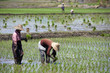 Lago Inle - Myanmar