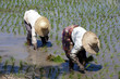 Lago Inle - Myanmar
