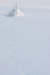 snow mound with twigs and footprints
