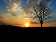 Photo: winter sunset with silhouette of tree winter sunset with silhouette of tree