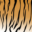 Tigerfell