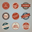 Set of vintage styled premium quality labels