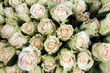 Foto: Weisse Rosen Weisse Rosen