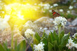 flowers and stream