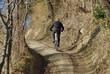 mountain bike on the mountains