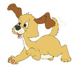 Hund, Welpe, Hundewelpe Hund, Welpe, Hundewelpe