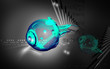 Eye