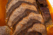Deer roast with sauce